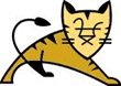 ol(wi)ApacheTomcatģK֧_O(sh)JSPW(wng)վ